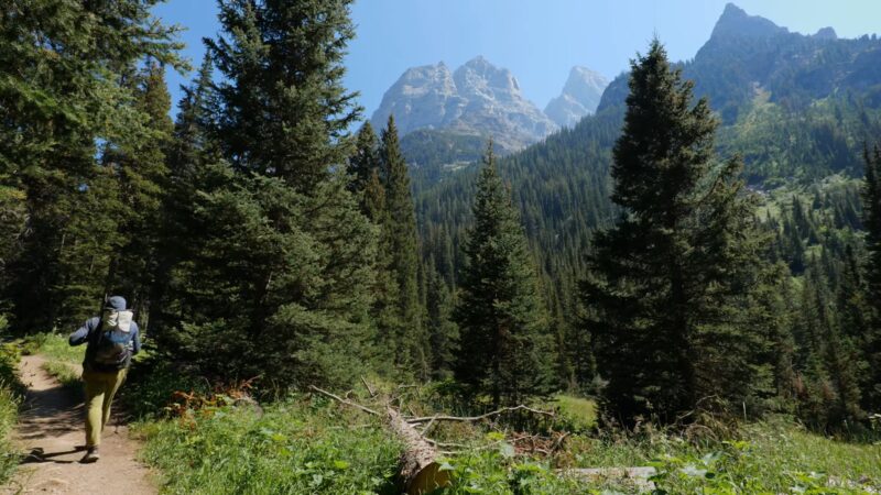 Conservation and Leave No Trace Principles - Teton Crest Trail 