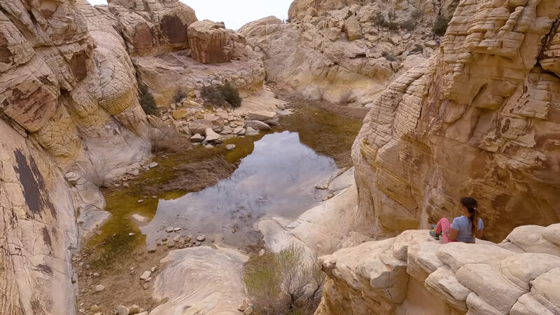 Red Rock Canyon's Diverse Trails - Las Vegas Hike