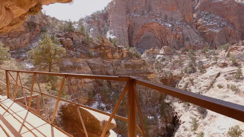 Wildlife and Natural Features at Canyon Overlook Trail