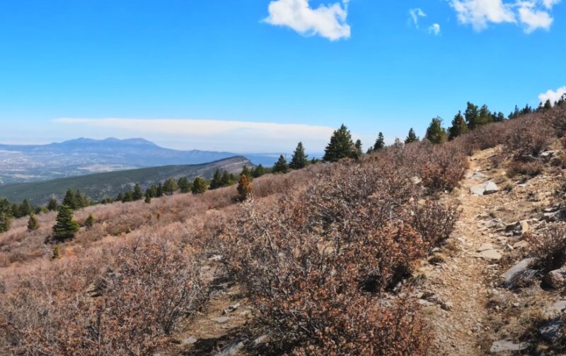 Family-friendly hikes Sandia Mountains