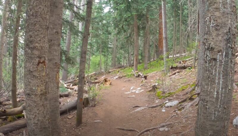 Sandia Crest hiking