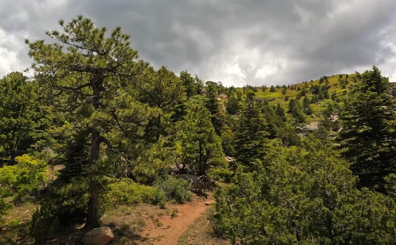 Sandia Mountains day hikes