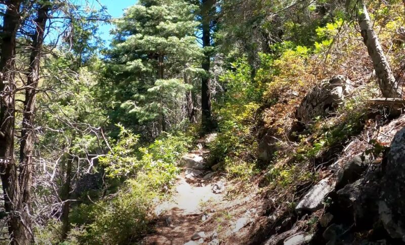 Sandia foothills trails